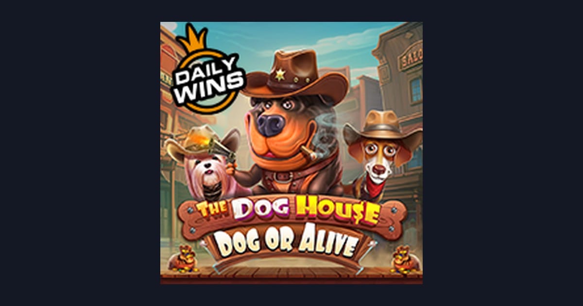 Nikmati Sensasi Slot Anti Rungkad The Dog House Dog Or Alive Praktis